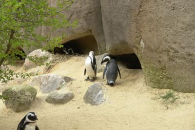 zoo_wuppertal_16.jpg