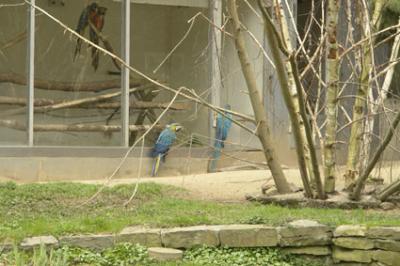 zoo_wuppertal_3.jpg