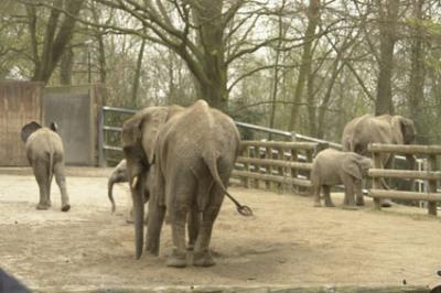 zoo_wuppertal_41.jpg