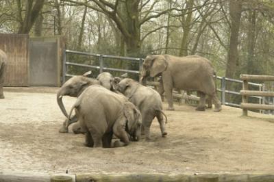 zoo_wuppertal_47.jpg