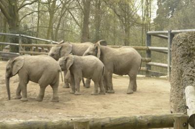 zoo_wuppertal_51.jpg